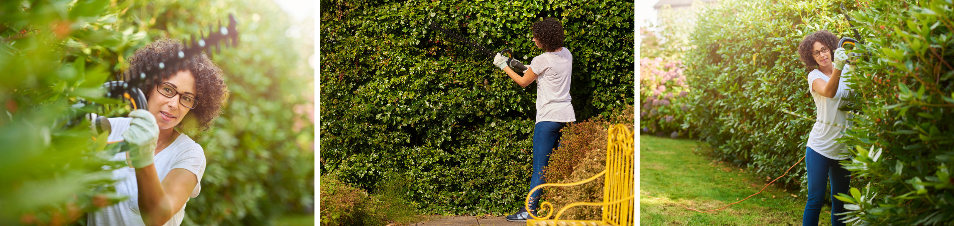 Frau mit Schutzbrille und Gartenhandschuhen schneidet mit einer elektrischen Heckenschere verschiedene grüne Hecken im Garten.