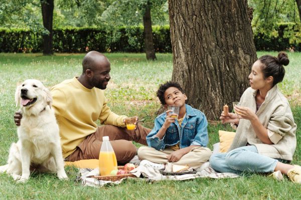 Familie sitzt mit Hund auf einer Picknickdecke im Park und genießt gemeinsam Getränke und Snacks.