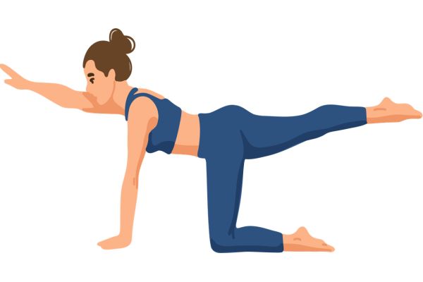 Illustration einer Person im Vierfüßlerstand mit ausgestrecktem Arm und Bein zur Kräftigung der Rumpfmuskulatur.