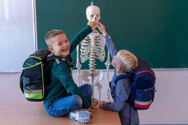 Zwei Kinder mit Schulranzen betrachten gemeinsam ein Skelettmodell im Klassenraum und zeigen auf den Schädel.