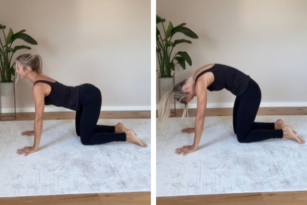 Frau zeigt auf zwei Bildern die Yoga-Übung Katze-Kuh im Vierfüßlerstand mit Hohlkreuz und rundem Rücken.